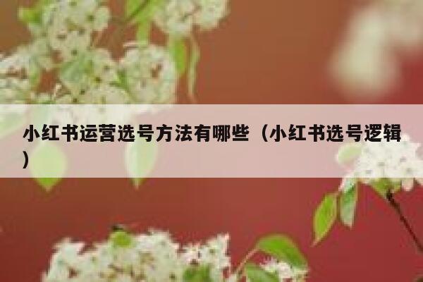 小红书运营选号方法有哪些（小红书选号逻辑）