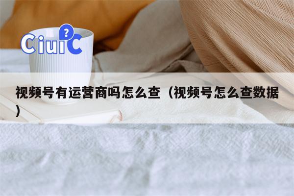 视频号有运营商吗怎么查（视频号怎么查数据）