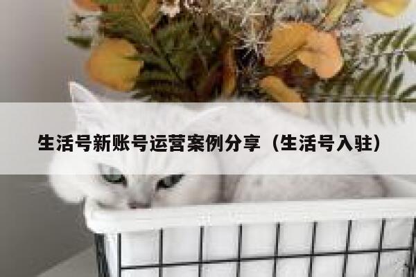 生活号新账号运营案例分享（生活号入驻）