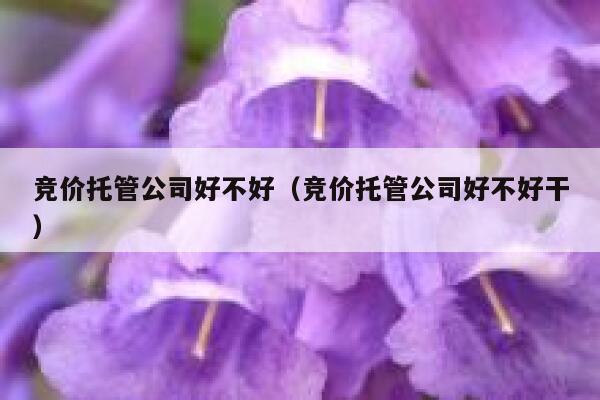 竞价托管公司好不好（竞价托管公司好不好干）