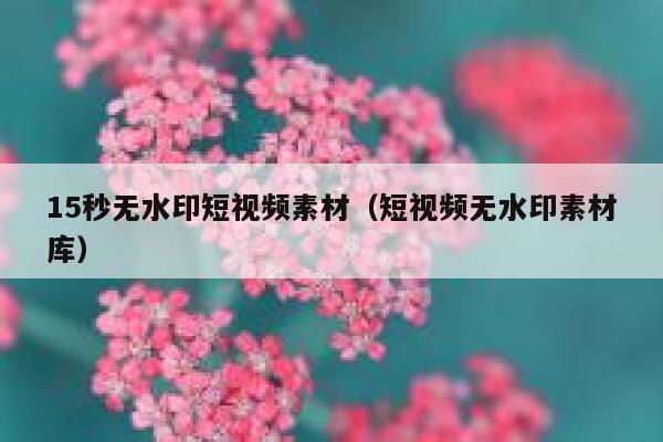 15秒无水印短视频素材（短视频无水印素材库）