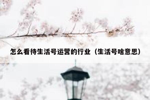 怎么看待生活号运营的行业（生活号啥意思）