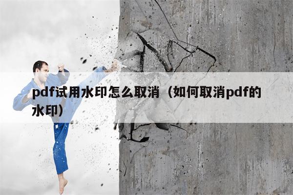 pdf试用水印怎么取消（如何取消pdf的水印）