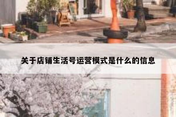 关于店铺生活号运营模式是什么的信息