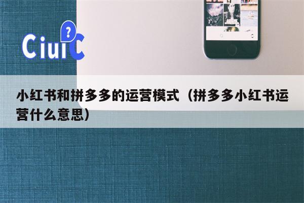 小红书和拼多多的运营模式（拼多多小红书运营什么意思）