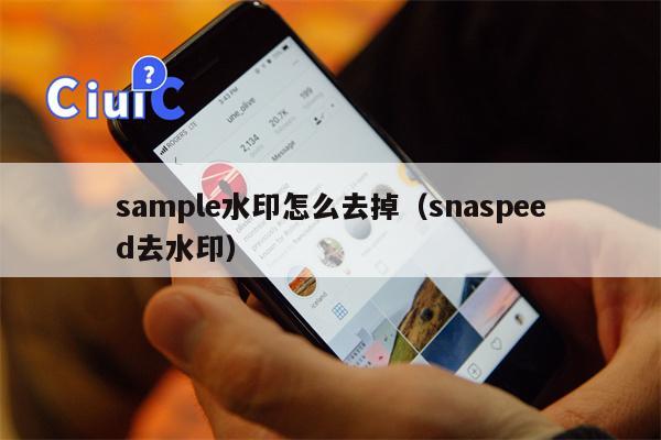 sample水印怎么去掉（snaspeed去水印）