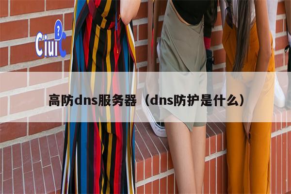 高防dns服务器（dns防护是什么）