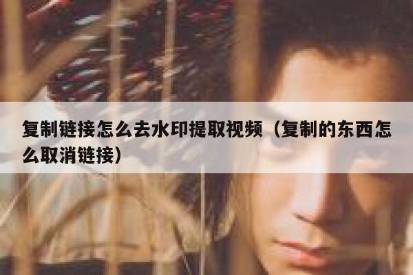 复制链接怎么去水印提取视频（复制的东西怎么取消链接）