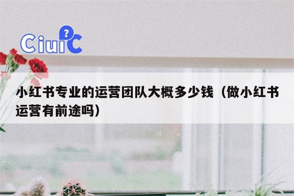 小红书专业的运营团队大概多少钱（做小红书运营有前途吗）