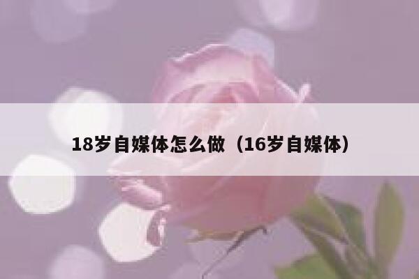 18岁自媒体怎么做（16岁自媒体）