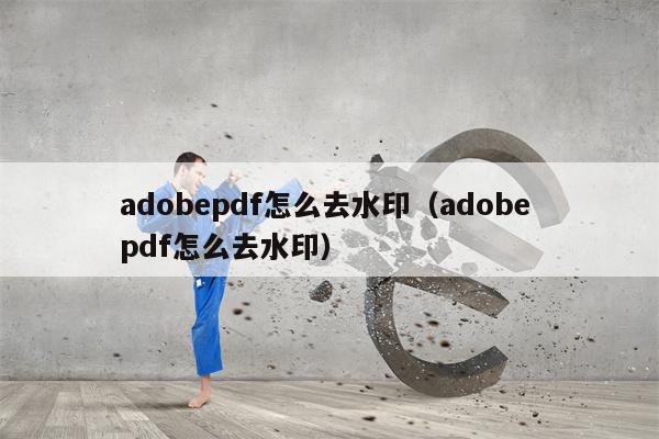 adobepdf怎么去水印（adobe pdf怎么去水印）