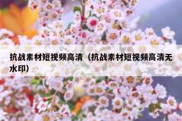 抗战素材短视频高清（抗战素材短视频高清无水印）