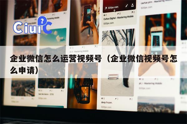 企业微信怎么运营视频号（企业微信视频号怎么申请）