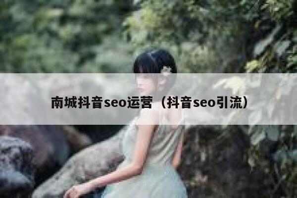 南城抖音seo运营（抖音seo引流）