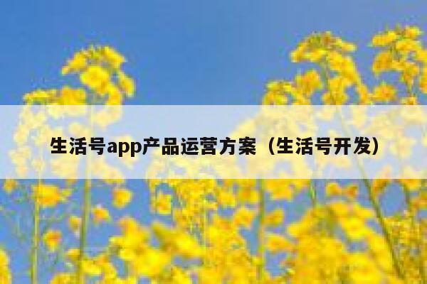 生活号app产品运营方案（生活号开发）