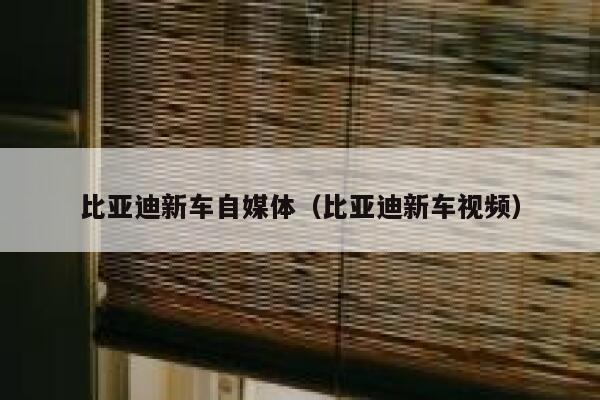 比亚迪新车自媒体（比亚迪新车视频）