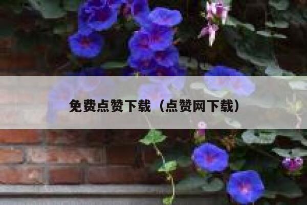 免费点赞下载（点赞网下载）