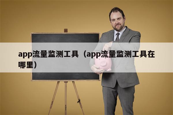 app流量监测工具（app流量监测工具在哪里）