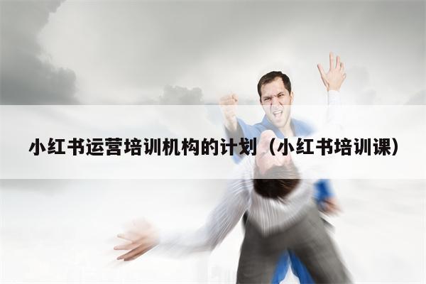 小红书运营培训机构的计划（小红书培训课）