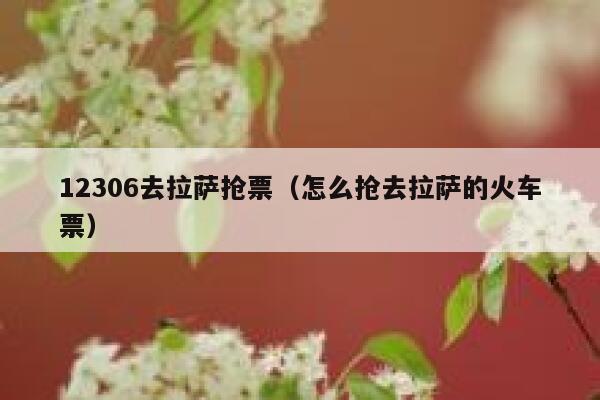 12306去拉萨抢票（怎么抢去拉萨的火车票）