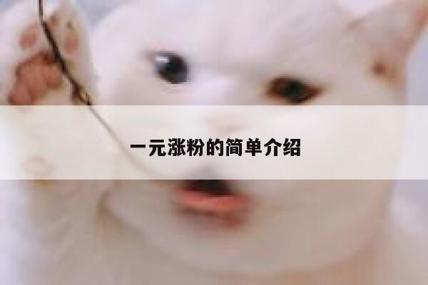 一元涨粉的简单介绍