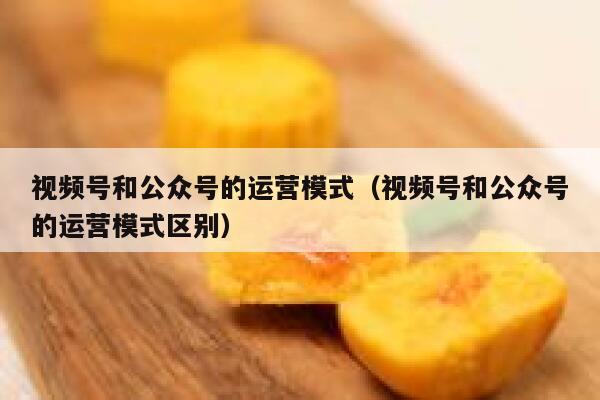 视频号和公众号的运营模式（视频号和公众号的运营模式区别）