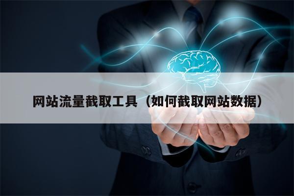 网站流量截取工具（如何截取网站数据）