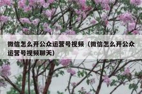 微信怎么开公众运营号视频（微信怎么开公众运营号视频聊天）