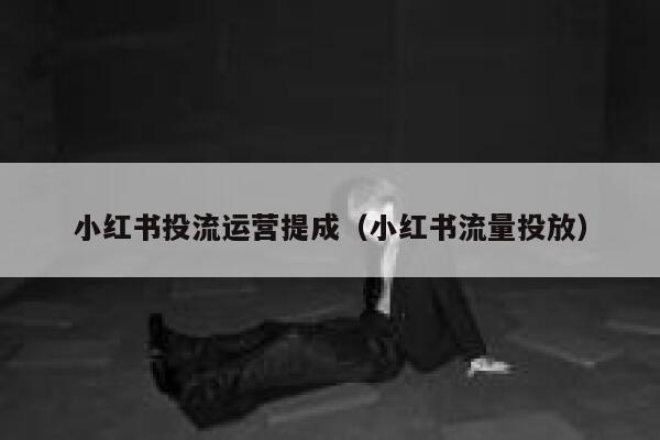 小红书投流运营提成（小红书流量投放）