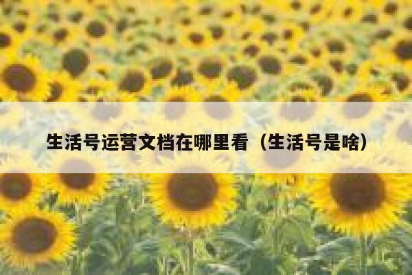 生活号运营文档在哪里看（生活号是啥）