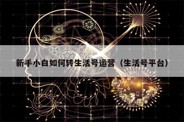新手小白如何转生活号运营（生活号平台）