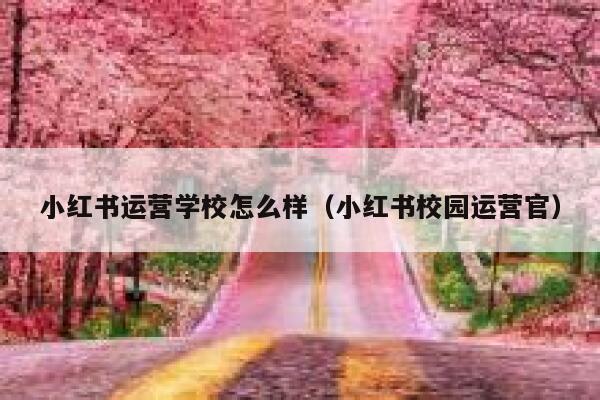 小红书运营学校怎么样（小红书校园运营官）