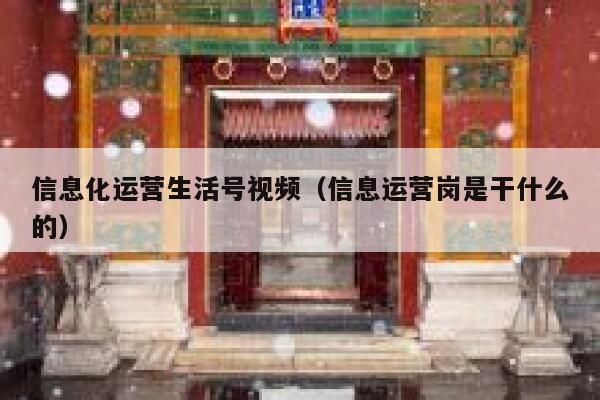 信息化运营生活号视频（信息运营岗是干什么的）