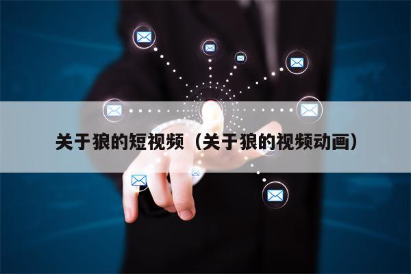 关于狼的短视频（关于狼的视频动画）