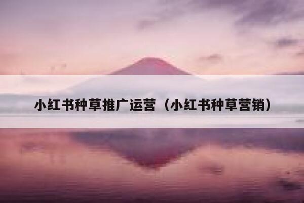 小红书种草推广运营（小红书种草营销）