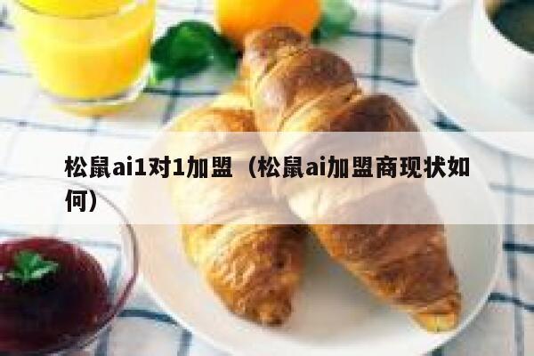松鼠ai1对1加盟（松鼠ai加盟商现状如何）