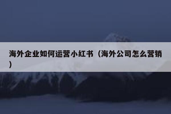 海外企业如何运营小红书（海外公司怎么营销）