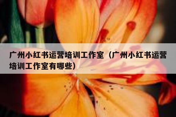 广州小红书运营培训工作室（广州小红书运营培训工作室有哪些）