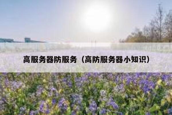 高服务器防服务（高防服务器小知识）