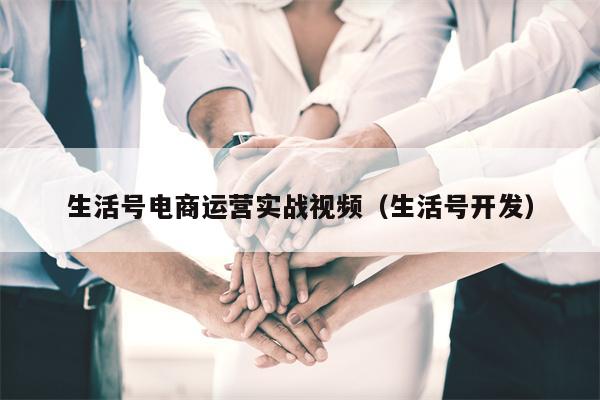 生活号电商运营实战视频（生活号开发）