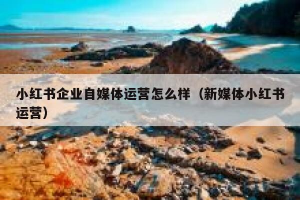 小红书企业自媒体运营怎么样（新媒体小红书运营）