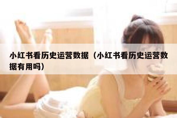 小红书看历史运营数据（小红书看历史运营数据有用吗）