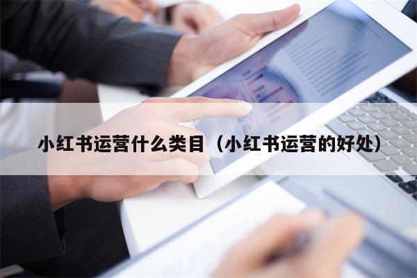 小红书运营什么类目（小红书运营的好处）