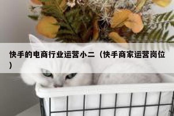 快手的电商行业运营小二（快手商家运营岗位）