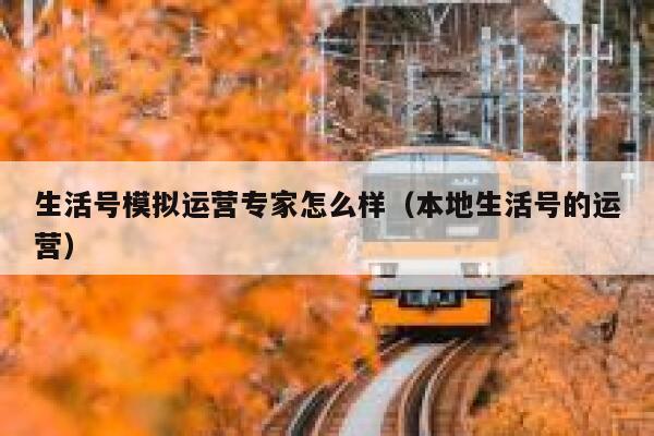 生活号模拟运营专家怎么样（本地生活号的运营）