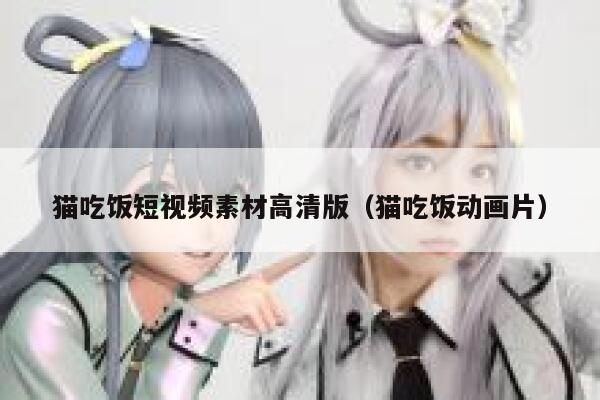 猫吃饭短视频素材高清版（猫吃饭动画片）