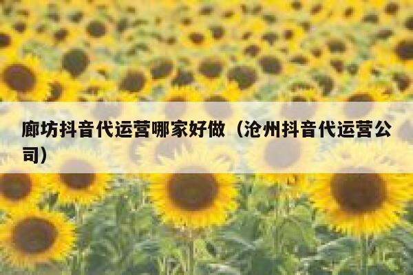 廊坊抖音代运营哪家好做（沧州抖音代运营公司）