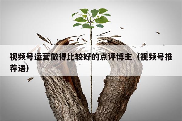 视频号运营做得比较好的点评博主（视频号推荐语）