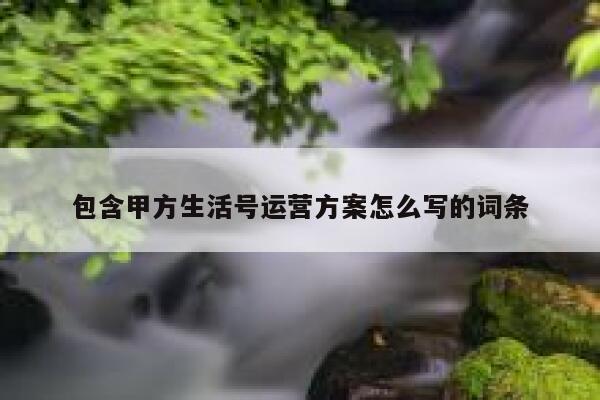 包含甲方生活号运营方案怎么写的词条