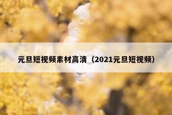 元旦短视频素材高清（2021元旦短视频）
